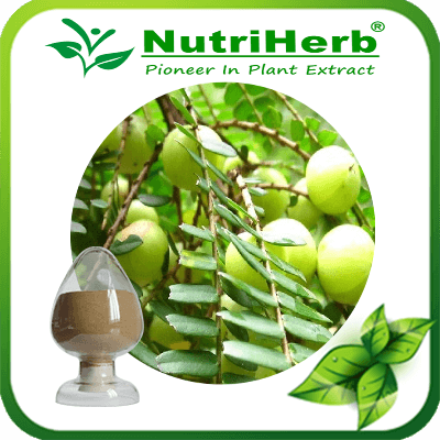 Phyllanthus emblica Extract-NutriHerb