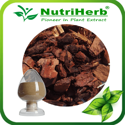 Pine bark extract-NutriHerb