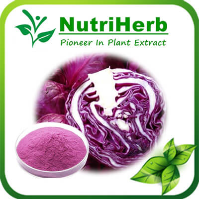 Red Cabbage Color-NutriHerb