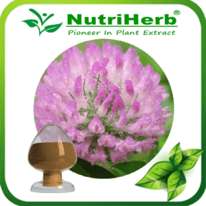 Red Clover Extract-NutriHerb