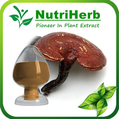 Reishi Mushroom Extract-NutriHerb