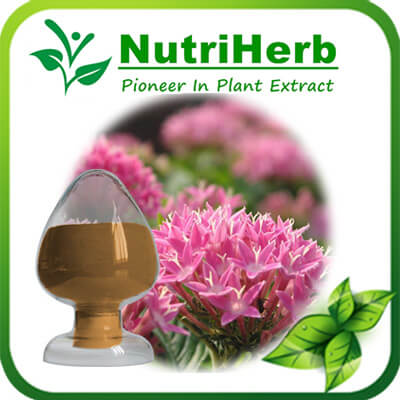 Rhodiola Rosea Extract-NutriHerb