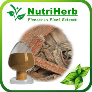 Salvia miltiorrhiza Extract-NutriHerb