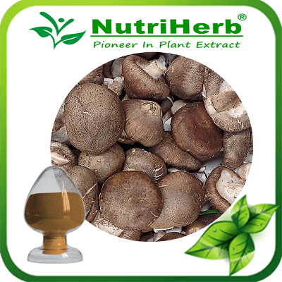 Shitake Mushroom Extract-NutriHerb