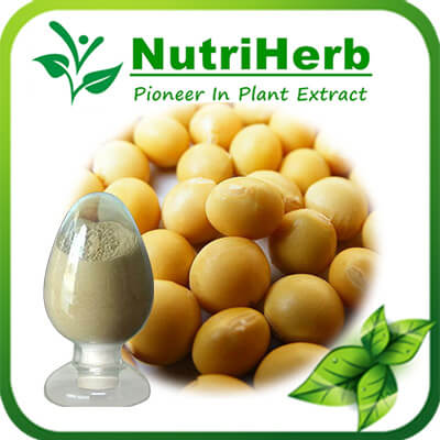 Soy isolate protein-NutriHerb