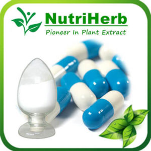 Synephrine HCl-NutriHerb