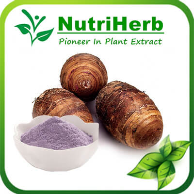 Taro powder-NutriHerb