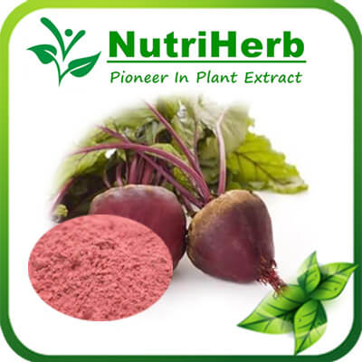 beet root powder-NutriHerb