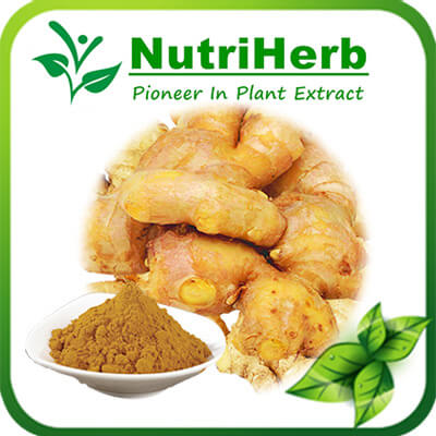 ginger powder-NutriHerb