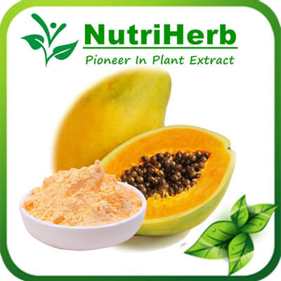 papaya powder-NutriHerb