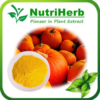 pumpkin powder-NutriHerb