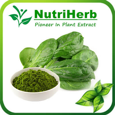 spinach powder-NutriHerb