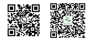 whatsapp wechat-2 whatsapp wechat-2