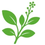green_plant