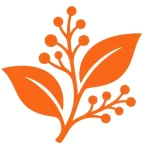 orange_plan